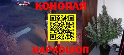 гидра Краснодар