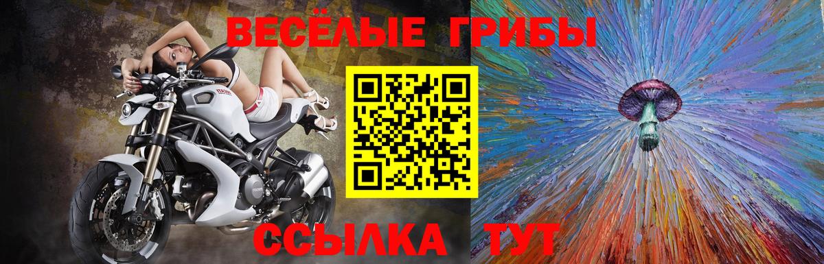 Псилоцибиновые грибы Magic Shrooms Ижевск